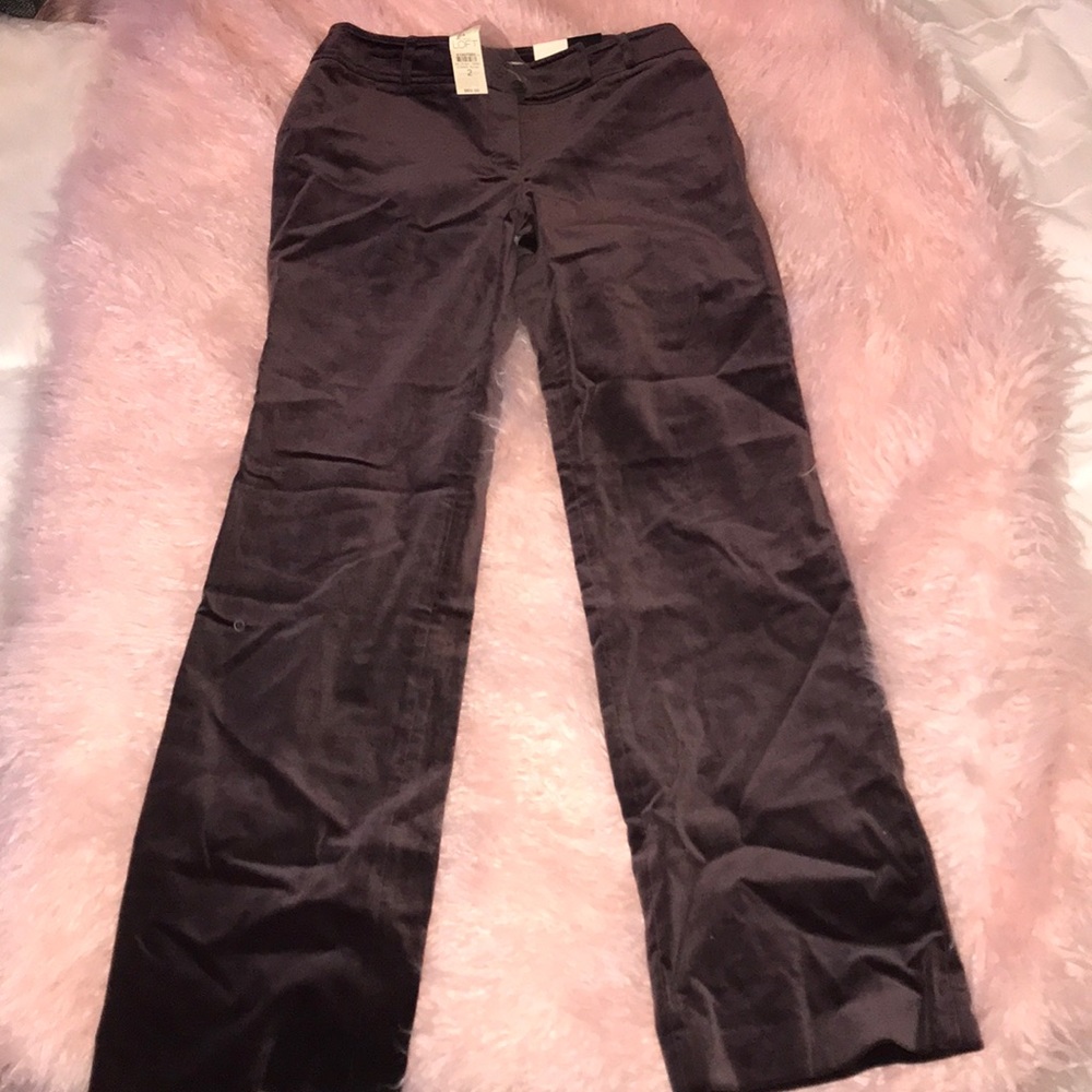 Ann Taylor Pants